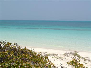 2004 Cuba, Cayo Ensenachos, DSC00851 B_B720